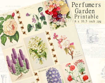 Fragrant Flowers, Perfumer's Garden Printable, Junk Journal, Scrapbook, Decoupage, Paper Download