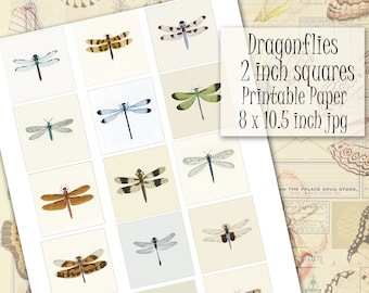 Dragonfly Printable Instant Download 2 inch Squares Digital Collage Sheet, Vintage Natural History Color Illustrations