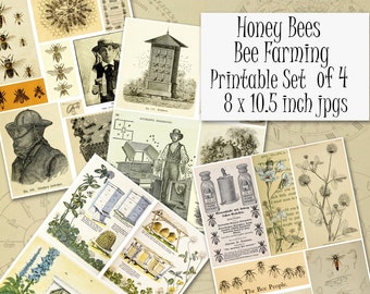 Beekeeping Printable Downloads, Honey Bees Ephemera Scrapbook Collage Sheets, Set of Four Pages Beekeeping, Honey Bees