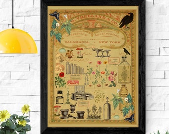 Victorian Apothecary Printable Wall Art Original Design Digital Collage Art, Medicines and Poisons, You Print Wall Art 11 x 14 inches