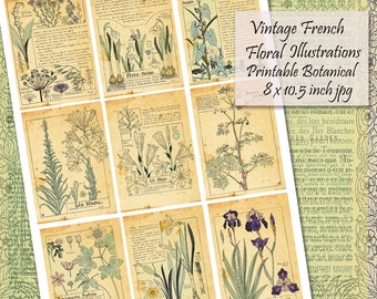 French Botanicals Printable Old Book Pages, Small 2.5 x 3.5 inch Cards ACEO, ATC Digital Collage Sheet, French Florals and Text.