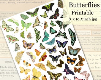 Colorful Butterflies Printable, Digital Collage Sheet, Butterfly Illustrations Clip Art, Nature Printable, Instant Download