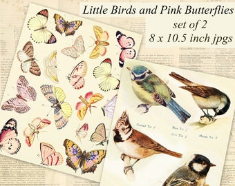 Pink Butterflies and Little Birds Cottage Garden Printables, Set of 2 Digital Collage Sheets, Scrapbooking, Decoupage, Collage, Home Decor