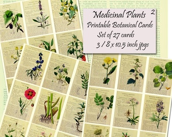 Herbal Botany Printable Cards Set, 27 Medicinal Plants, 2.5 x 3.5 inches each, Instant Download