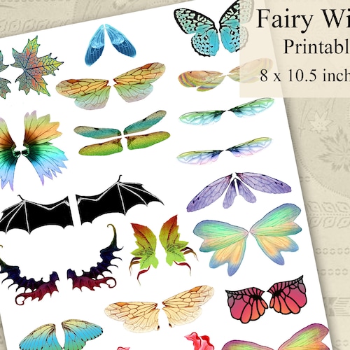 Printable Fairy Wings Insect Wings Illustrations Instant - Etsy