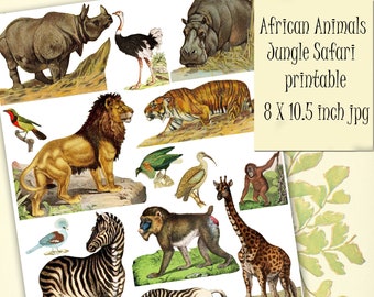 Animals of Africa Jungle Safari Printable Clipart, Journaling, Scrapbooking, Travel Journals