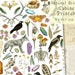 see more listings in the Nature Printables section