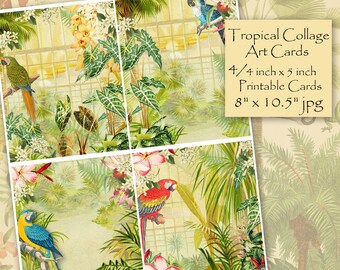 Printable Tropical Collage Art, Tropical Botanicals, Flowers,  Plants, and Birds, Scrapbook Pages, Nature Backgrounds Digital Collage Sheet