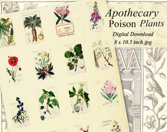 Poison Plants Printable Apothecary Garden Herbal Botany Illustrations Collage Sheet Download