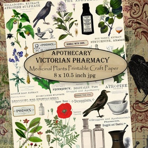 Collage stampabile di botanica medica del farmacista vittoriano, carta artigianale digitale 8 x 10,5 pollici. jpg, storia illustrata di erbe e medicinali