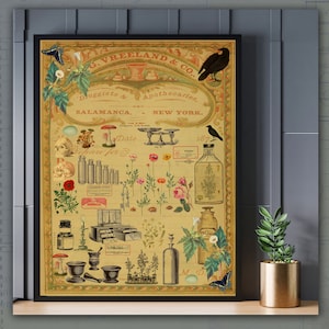 Victoriaanse apotheker afdrukbare Wall Art origineel ontwerp digitale collage kunst, medicijnen en vergiften, u print Wall Art 8 x 10,5 inch