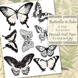 Printable Butterfly Clipart Download, Traceable or Coloring Butterfly Illustrations, Black and White  Digital 8 x 10.5 inch jpg