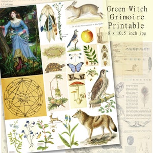 Green Witch Grimoire Printables Scrapbook Paper, Junk Journal, Digital Collage Sheet, Instant Download