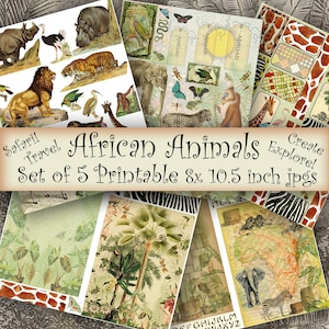African Animals Printable Set of Five 8 X 10.5 Inch Jpg Craft - Etsy