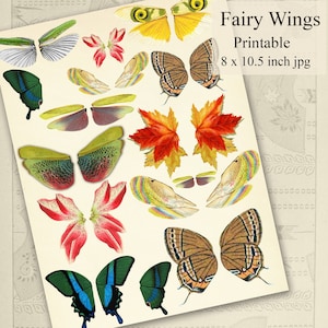 Feenflügel Ausschnitte, Schmetterling Feenflügel zum ausdrucken, Digitales Scrapbook-Set no. 2
