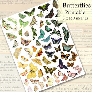 Colorful Butterflies Printable, Digital Collage Sheet, Butterfly Illustrations Clip Art, Nature Printable, Instant Download
