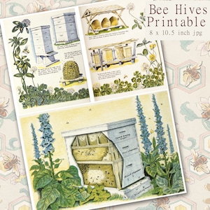 Beehives Printable, Vintage Illustrations,  Digital Collage Sheet Honey Bees and Beekeeping