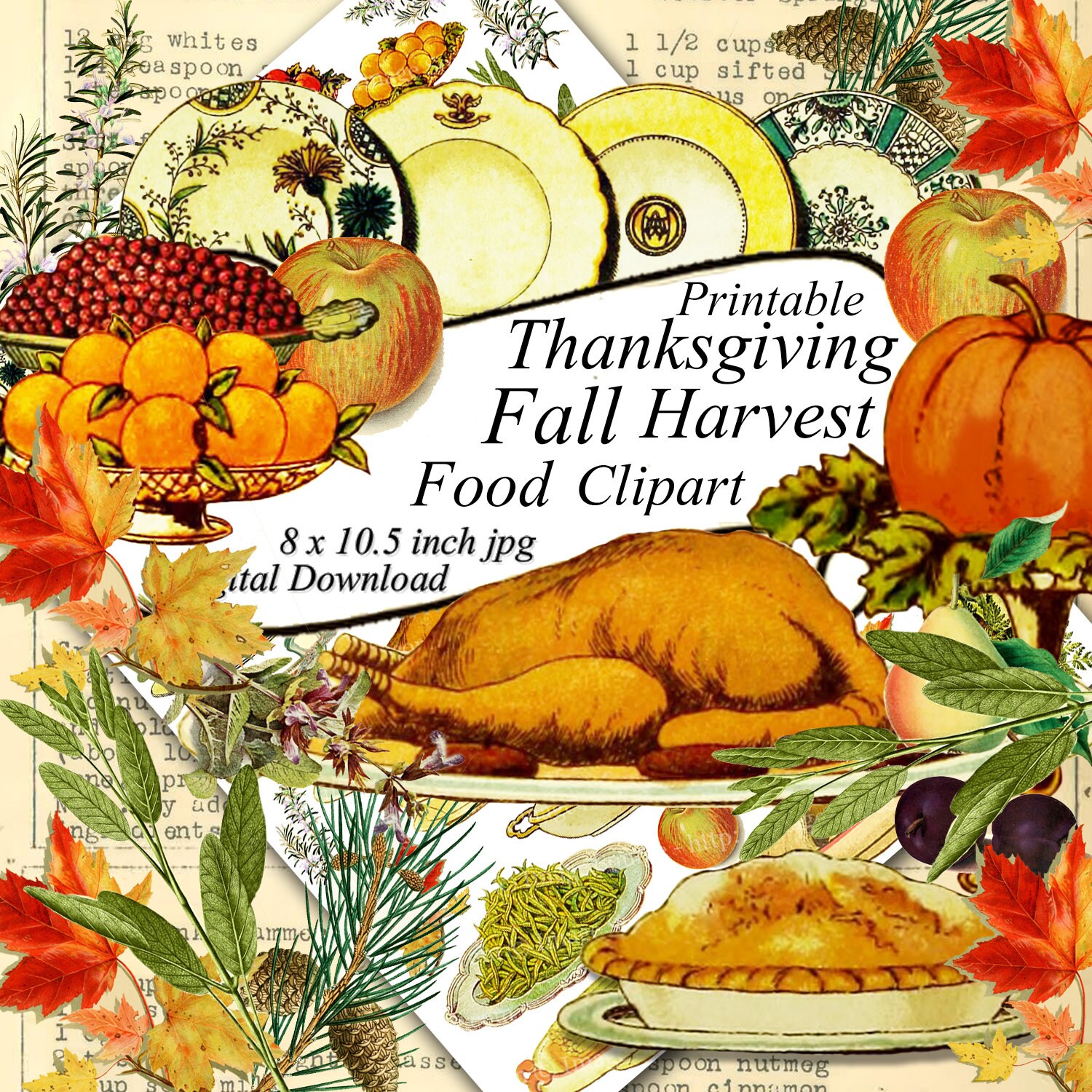 Thanksgiving 3rd