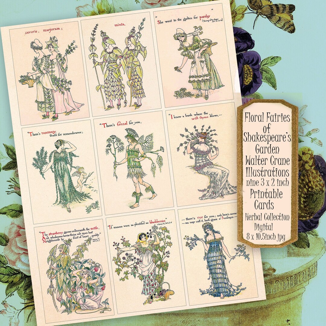 Printable Herbal Fairies Art Trading Cards 9 Flower Fairy Etsy