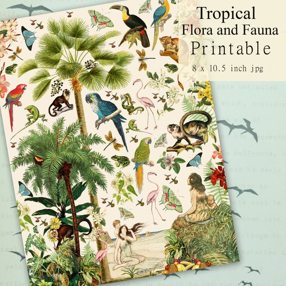 Tropical Scrapbook Paper Exotic Plants and Animals Collage - Etsy Norway Tropical Scrapbook Paper Exotic Plants and Animals Collage - Etsy Norway