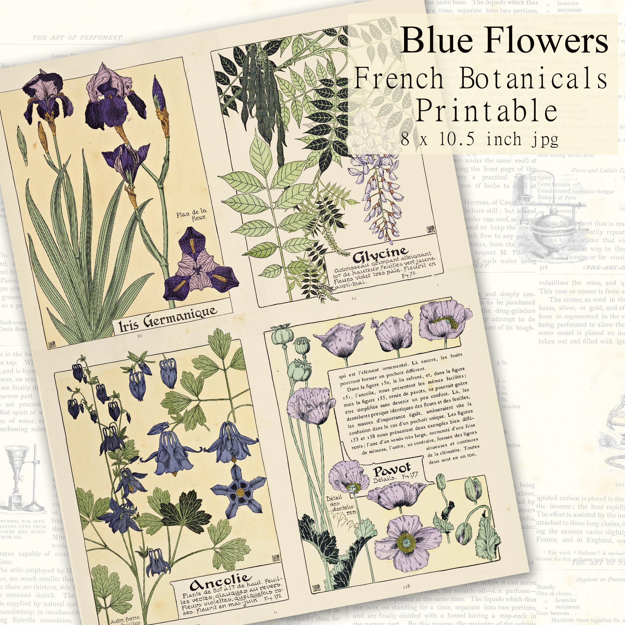 Blue botanical design op