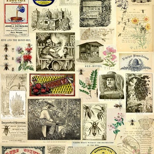 Printable Bee Ephemera Bees, Bee Keepers, Hives, and Pollen Plants Digital Collage Sheet image 2