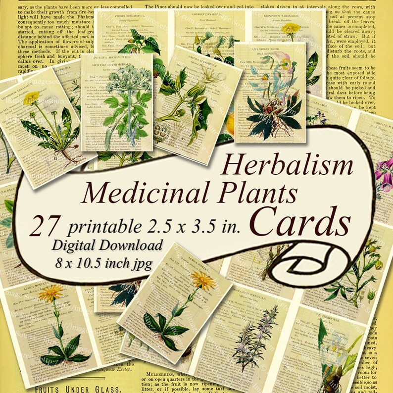 Herbal Botanicals Printable Cards Set Medicinal Plants 27 | Etsy