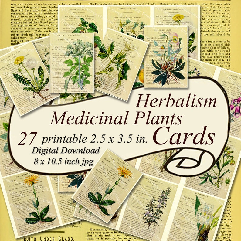 Herbal Botanicals Printable Cards Set Medicinal Plants 27 Etsy