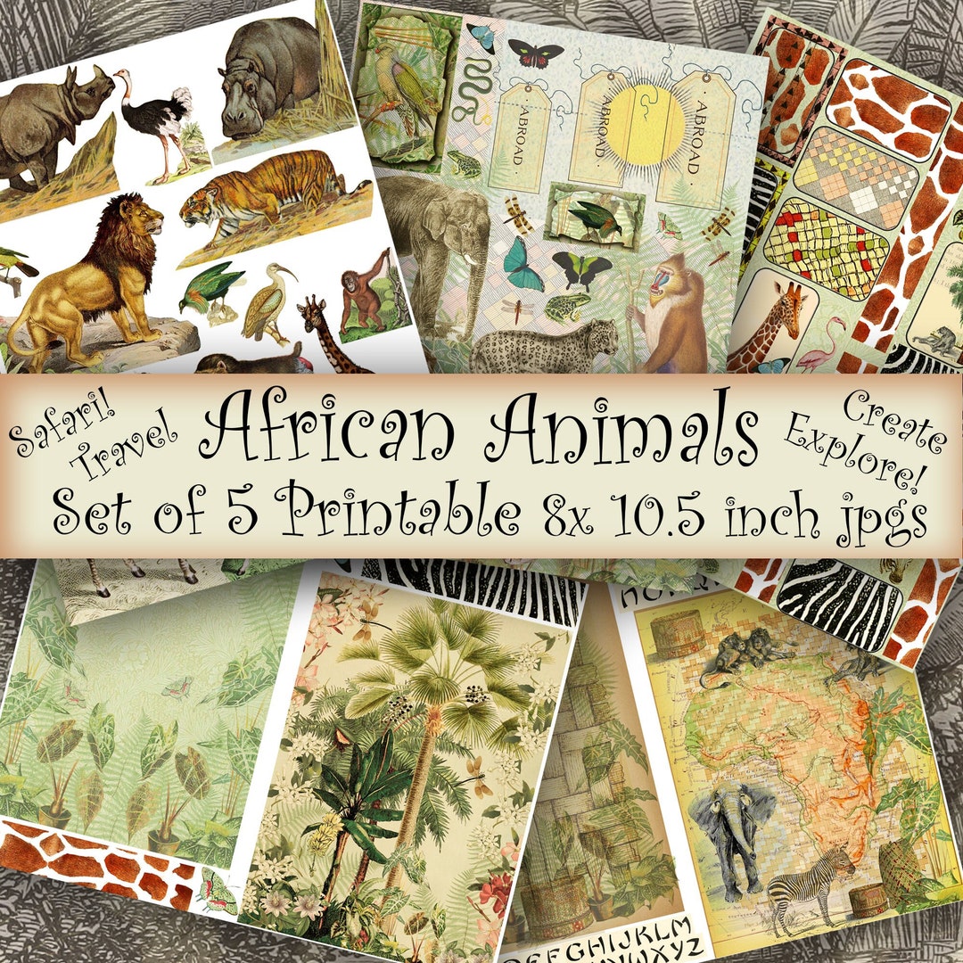 African Animals Printable Set of Five 8 X 10.5 Inch Jpg Craft - Etsy