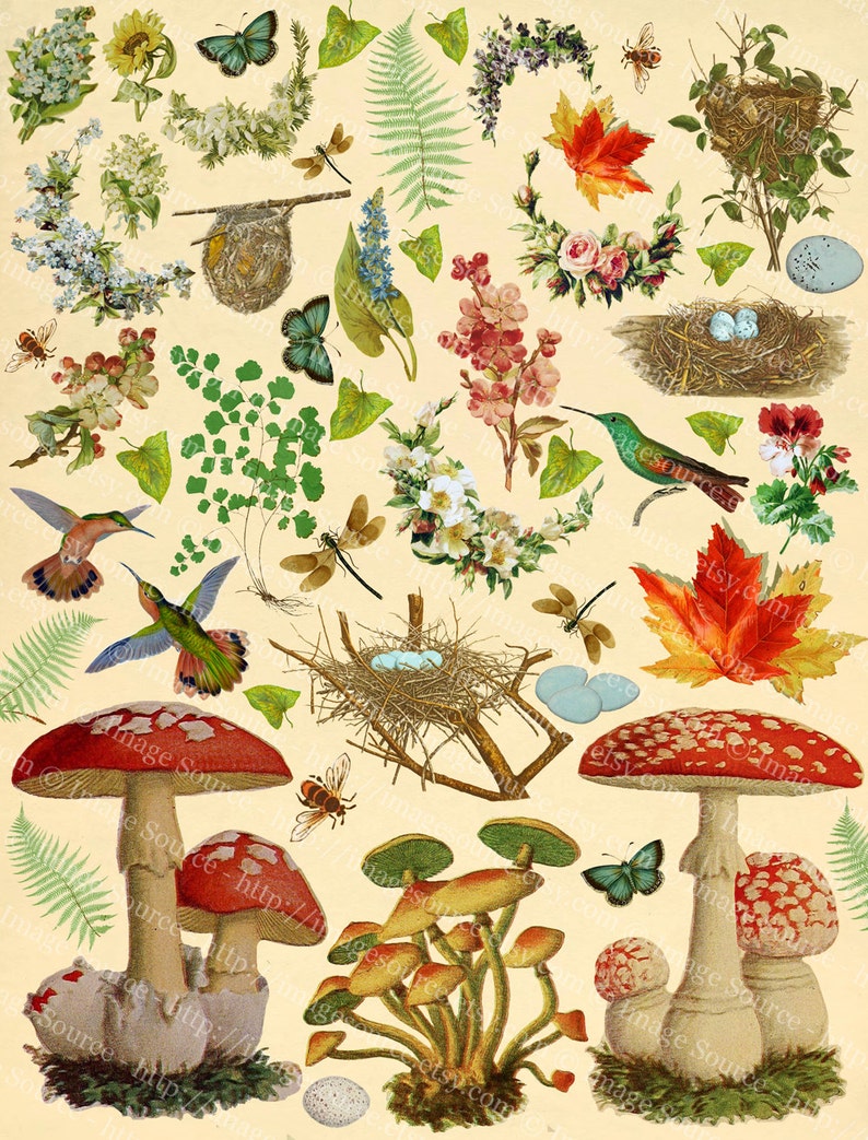 Pages De Journal Poubelle Vintage Automne - Papier Décoratif Unilatéral - 50 Pages