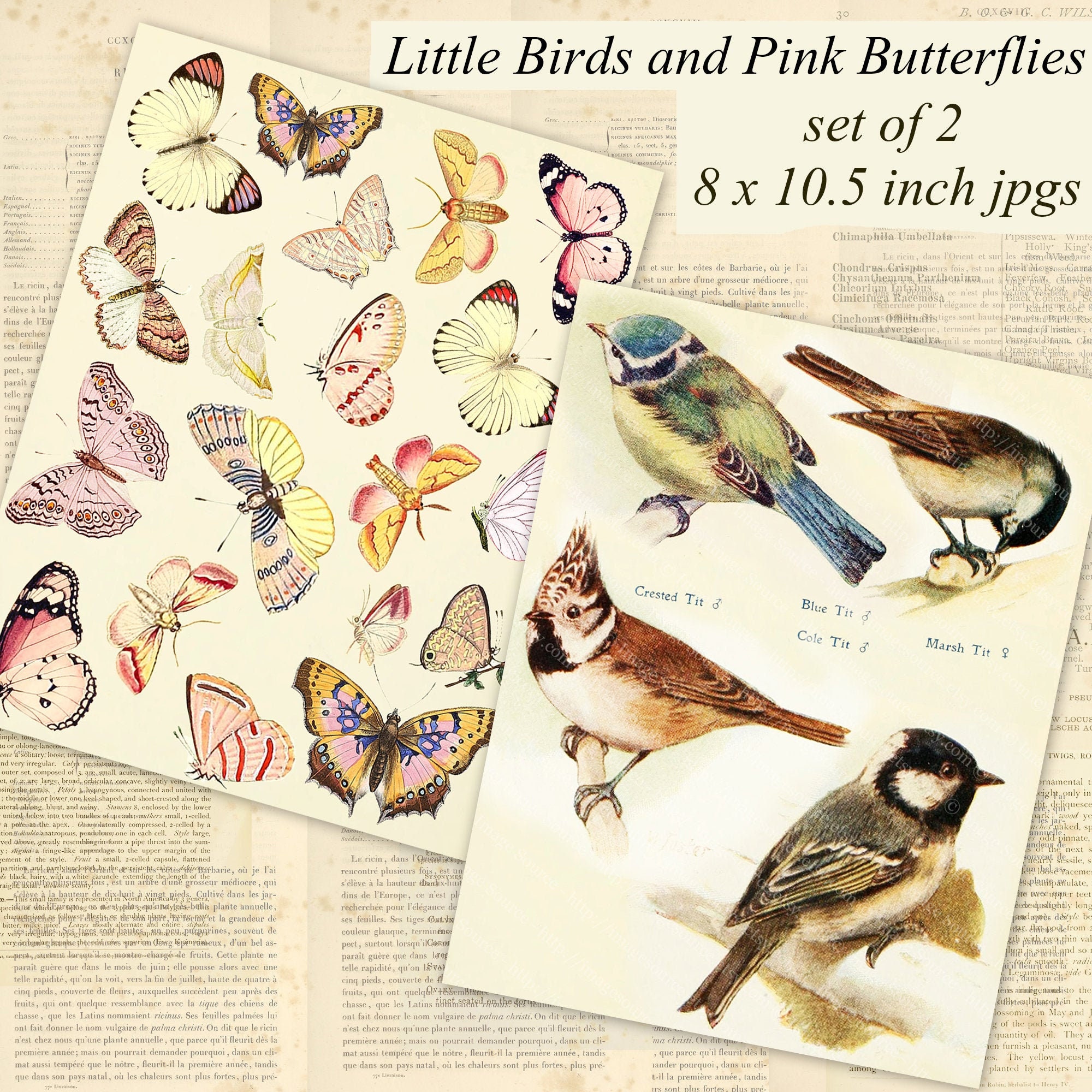 Pink Butterflies and Little Birds Cottage Garden Printables - Etsy