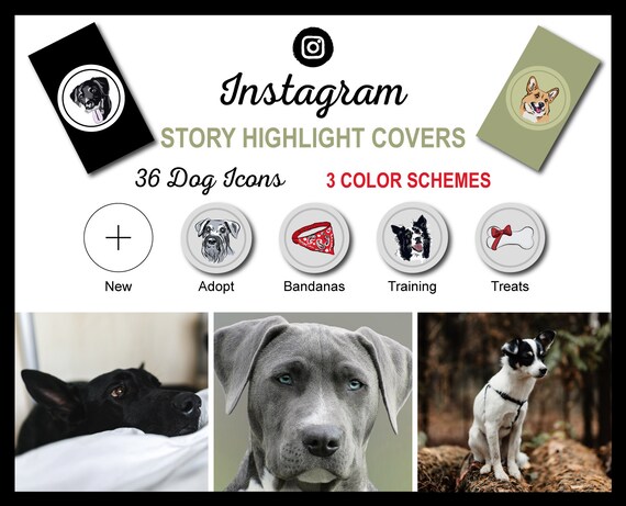 Instagram Story Highlight Icon Covers Dog Breed Collection Ready To Use Puppy Dogs Pets Dog Influencers Instagram Dogs 3 Colors