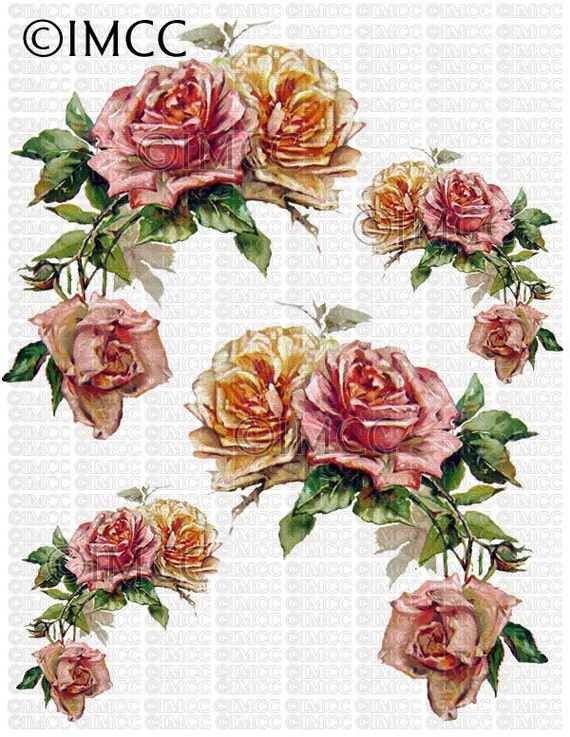 Télécharger Digital Instant Cottage Choux Roses Roses Fleurs Jaunes Era Vintage Floral Fond Transparent Png U Imprimer Ecs