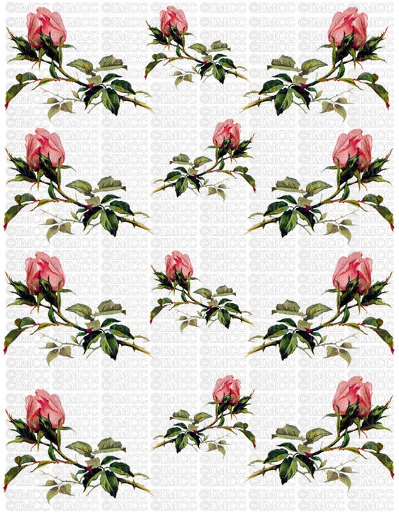 Instant Digital Download Cottage Cabbage Pink Roses Rose Bud Etsy