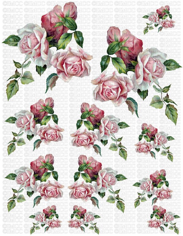 Instant Digital Download Cottage Cabbage Pink Roses Red Roses Etsy