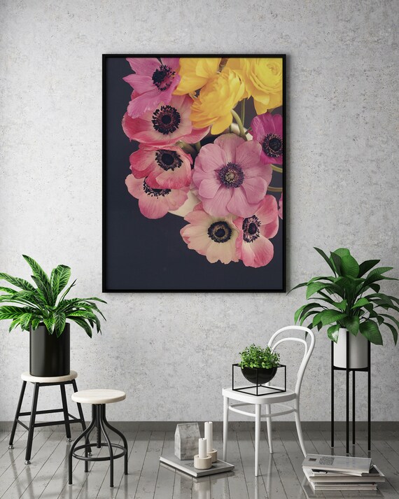 Anemone Floral Photography, Anemones, Floral Art, Colorful