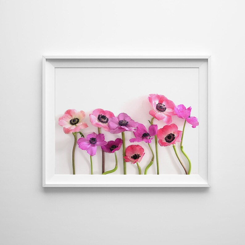 Anemone Floral Photography, Anemones, Floral Art, Pink, Botanical Still Life Print, Anemone Photograph, Gallery Wall, Pink Floral Photo image 2