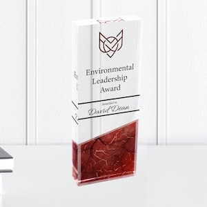 Premio acrílico personalizado: placa de reconocimiento corporativo personalizada