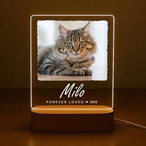 Custom Pet Memorial Light | Personalized Dog or Cat Photo LED Lamp | Pet Loss Gift | Acrylic Night Light with Wooden Base
