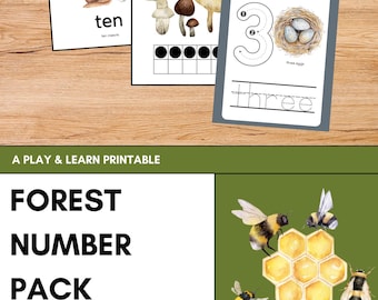 Forest Number Pack | Counting Worksheets for Preschool | Early Math Learning Activity | Kid's Number Recognition & Tracing