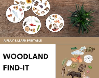 Woodland Find-It | Look & Find Woodland Activity for Kids | Forest Themed Worksheets | Preschool Match Game