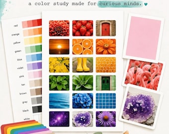 Color Investigation Printable \| Color Sorting & Matching Activity \| Real Photo Montessori Preschool Learning
