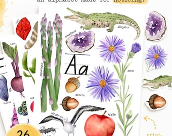 Alphabet Look & Find Mini Posters | Cut-And-Paste Activity | ABC Learning Poster for Kids | Early Literacy Activity
