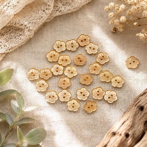 May include: A collection of small, translucent, light beige buttons shaped like five-petaled flowers. Each button features a central indentation with two holes for sewing. The buttons have a smooth, glossy finish and a consistent, delicate design.