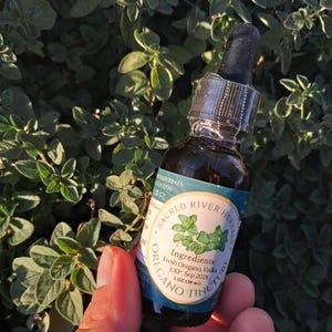 Oregano Tincture, Herbal Supplement, Natural Remedy,  Herb for cold and cough Origanum vulgare digestion parasites