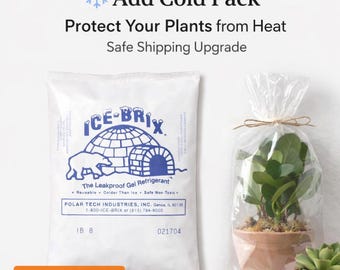 Add Cold Pack for Live Plant Shipping | Heat Protection Upgrade | Safe Summer Delivery | Aquarium Plants Shipping Add-On