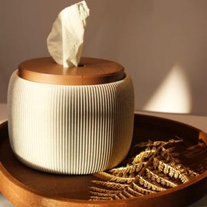 Modern toilet paper box, Scandinavian bathroom decoration, 3D print toilet paper storage, minimalist Japandi style