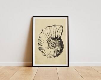 Può includere: Un'illustrazione in bianco e nero di una conchiglia di nautilus su uno sfondo beige. La conchiglia è a spirale e presenta una texture dettagliata.