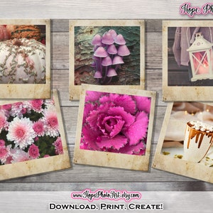Fotografias de Outono Rosa, Desbotadas, Polaroid, Outono, Diário de Junk, Diário de Marcadores, Abóbora, Cogumelo, Floral Rosa, Estética, Folhas, Aconchegante