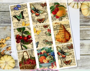 Fall Fruit & Butterfly Tags, Junk Journal Ephemera (Digital Download)